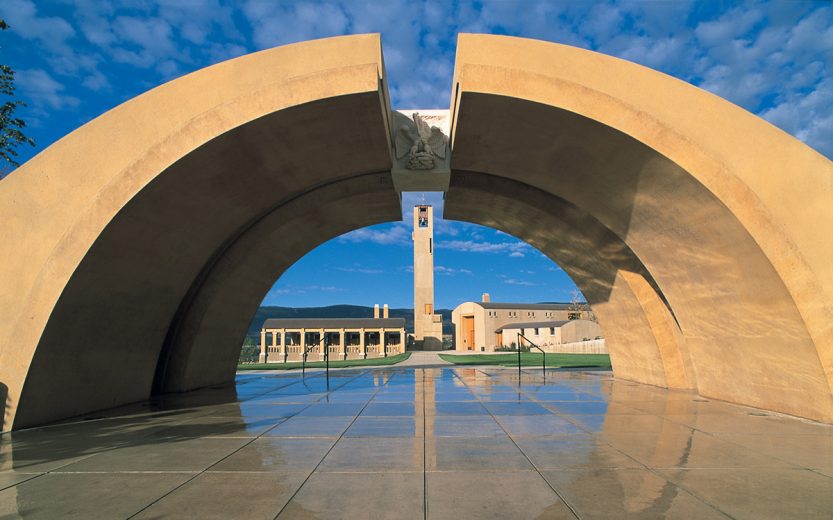 Wine by design VITIS